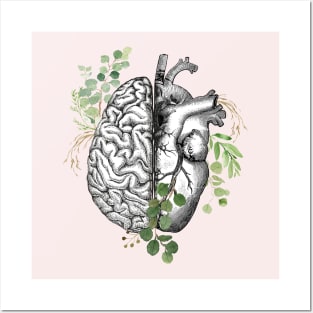 Right balance between brain and heart, leaves eucalyptus, mental health Posters and Art